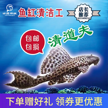 ������^�p�~���ϵ�ˮ�Ꭷ����ױ��坍�~�����~�����~���������~