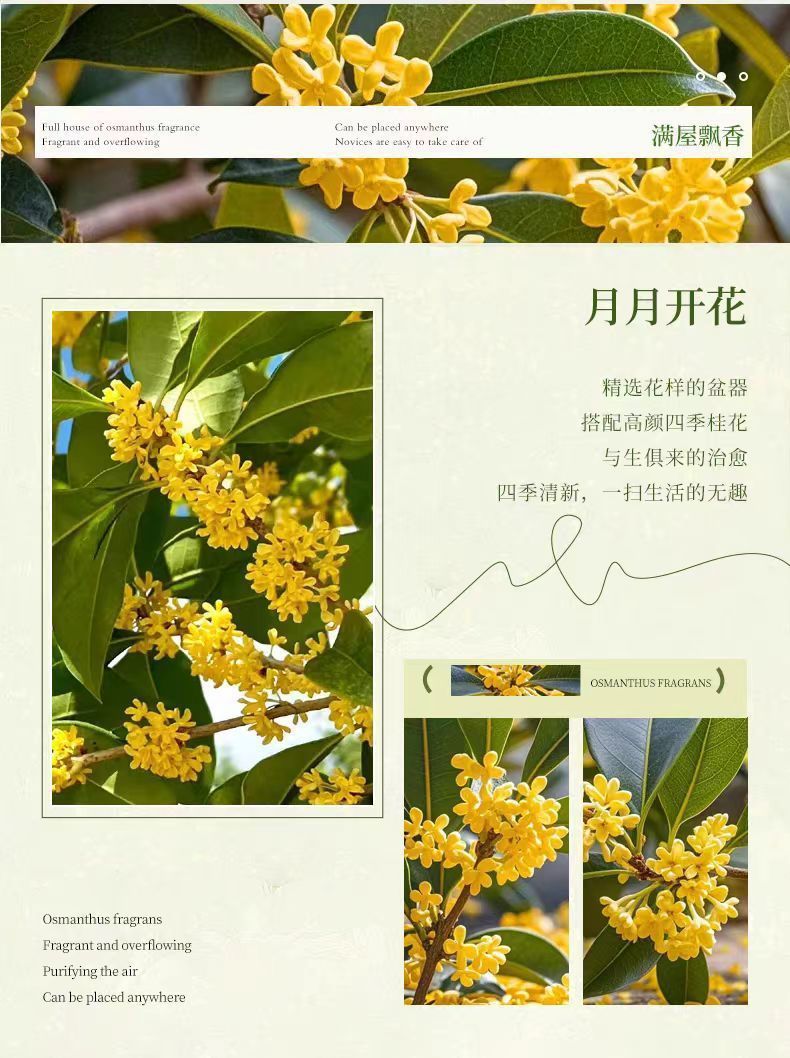 87103571-0ef3-4bd3-93b4-ec4434a7d159.jpe