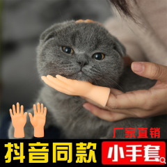 抖音と同じ猫じゃらし指サックおもちゃ、猫を撫でるプラスチック製手袋、面白くて創造的な左右の手モデル、卸売ミニサイズ
