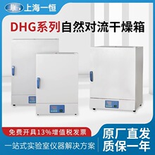 上海一恒自然对流干燥箱实验室恒温箱DHG-9031A烘箱循环烘干箱