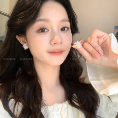 轻奢烟花耳钉女高级感耳环小众设计925银针耳钉海边度假风耳饰品