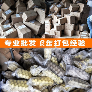 �����x���x����x��̖�S���x�����~������ϰ˸箋ü�Bʳ�x��