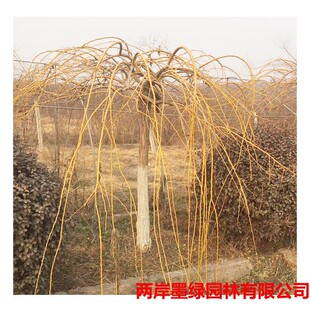 �������l�S�𴹻����� �S֦��������� ���~�����@�־G������