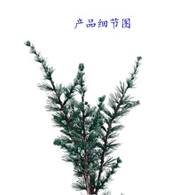 �����ɼľ�����ɘ��~ֲ���ɼ���~����ɼ�~����DIY�bS�����l