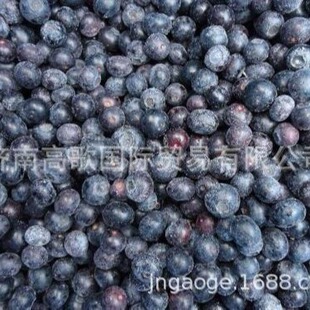 �S���L���ṩ�ك��{ݮFrozen blueberries �gӭ�xُ