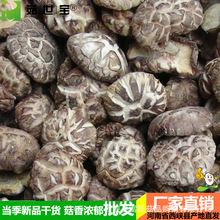 西峡花菇2到4cm菇世宝a级香味浓郁南北干货食用菌 产地货源片香菇
