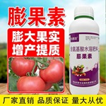 膨果素叶面肥果实膨大剂果树瓜果蔬菜通用快速膨大剂瓜果膨大素