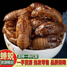 蝉蜕 蝉脱中药材正品 蝉蜕壳蝉壳蝉衣蝉皮蝉退虫退知了壳皮批发