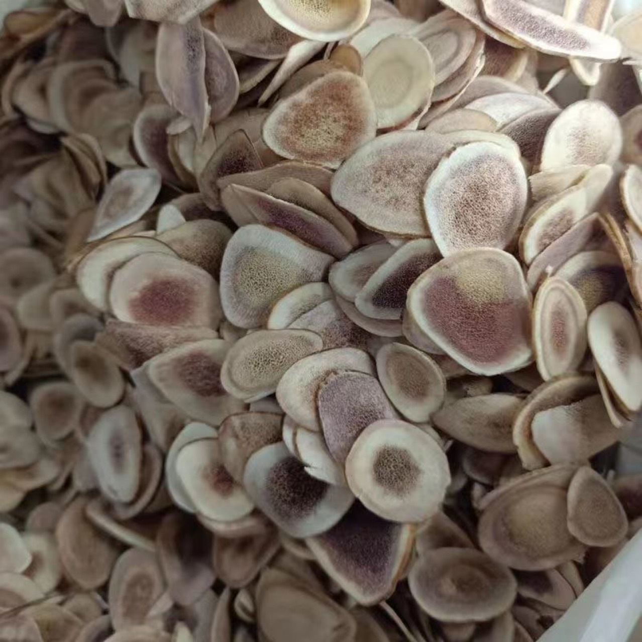 Deer Antler Slices (Cervus nippon) — Jilin Dried Antler Pieces for Tonic Soups quality and texture
