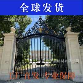 庭院门铁艺大门欧式铁艺门铁艺别墅庭院大门铁艺院子大门外贸跨境