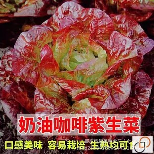 ���Ϳ��������˷N�����~������ԭ�b�ļ��߲˴�ȫ�˴����l�ԷN