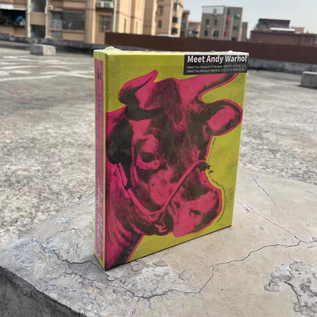Andy Warhol 3d Thickened Hardcover Puzzle 100 Pieces Party Game_voghion.com