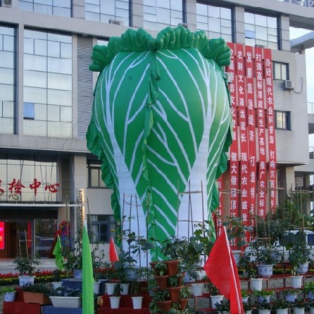 充气白菜玉米气模茄子胡萝卜水果广告仿真模型大蒜卡通行走气模人