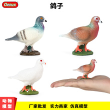 儿童仿真动物模型实心鸟类玩具鸽子信鸽和平鸽子早教认知礼物摆件