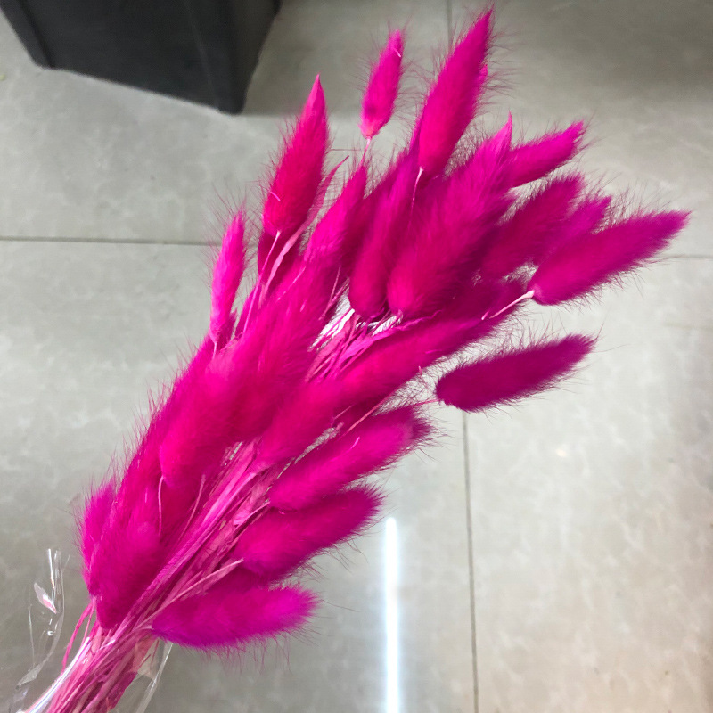 로즈핑크 토끼꼬리 60개입