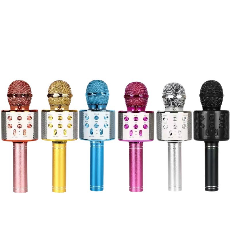 858 altavoces de altavoz Bluetooth para niños cantando micrófono de sonido KTV personalizado