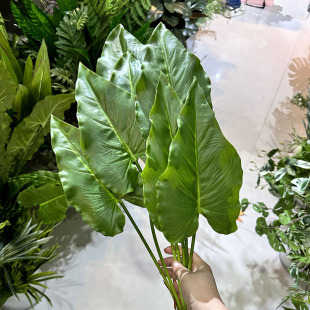 �����R���~ �Gֲ�bٻ����~�ָ��~������ֲ�� �Gֲ���~��