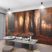3D延伸空间大自然森林壁画5D餐厅电视背景墙纸风景主体酒店房壁纸