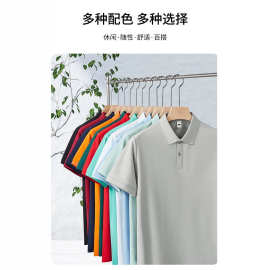 青铜系列触感棉POLO衫翻领短袖工作服团体服印字刺绣男女通款百搭