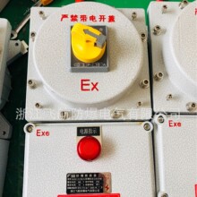 隔离漏电开关 壁挂式立式 110kv防爆断路器  防爆磁力启动器电器