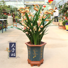 ���F�����m���������m����ī�m���m���m�ļ��m���҃Ȼ��ܾGֲ����