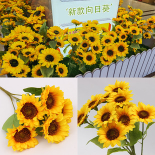 ���滨���տ�̫ꖻ������Sɫ��c������Y���b�·��ɭϵ�廨��ˇ