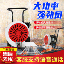 山东厂家供应手推式路面吹风机马路除尘清渣吹灰机大功率清尘机