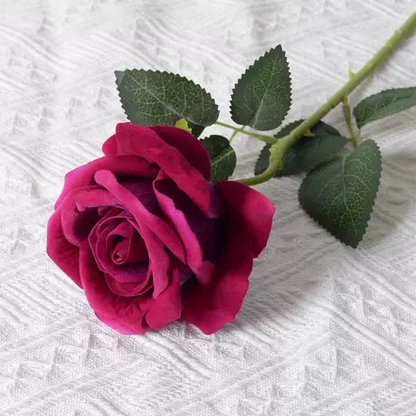 Large velvet rose purple