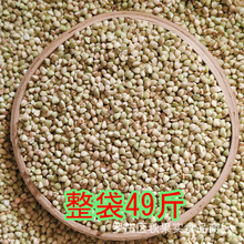 【批发荞麦米】高山无糖荞麦米  三角麦粒 新货甜荞麦仁24.5kg