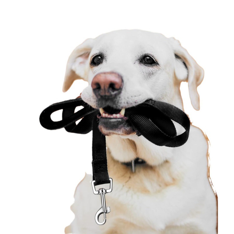 Polypropylene 3m 6m 10m 20m Extended Pet Dog Walking Leash_voghion.com