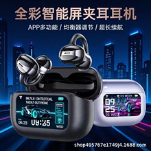 2026��羳�������ʽ�o���{�����C�h���x�Ԅӌ��B�����{�����C