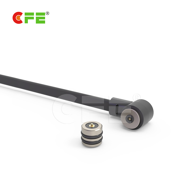 CFEֱʽpogopin