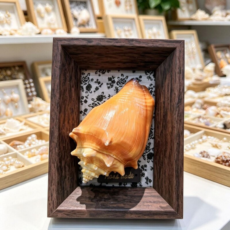Ins-style shell, conch, and star decoration empty picture frame, handmade DIY creative specimen wooden cardboard framed photo frame ornament