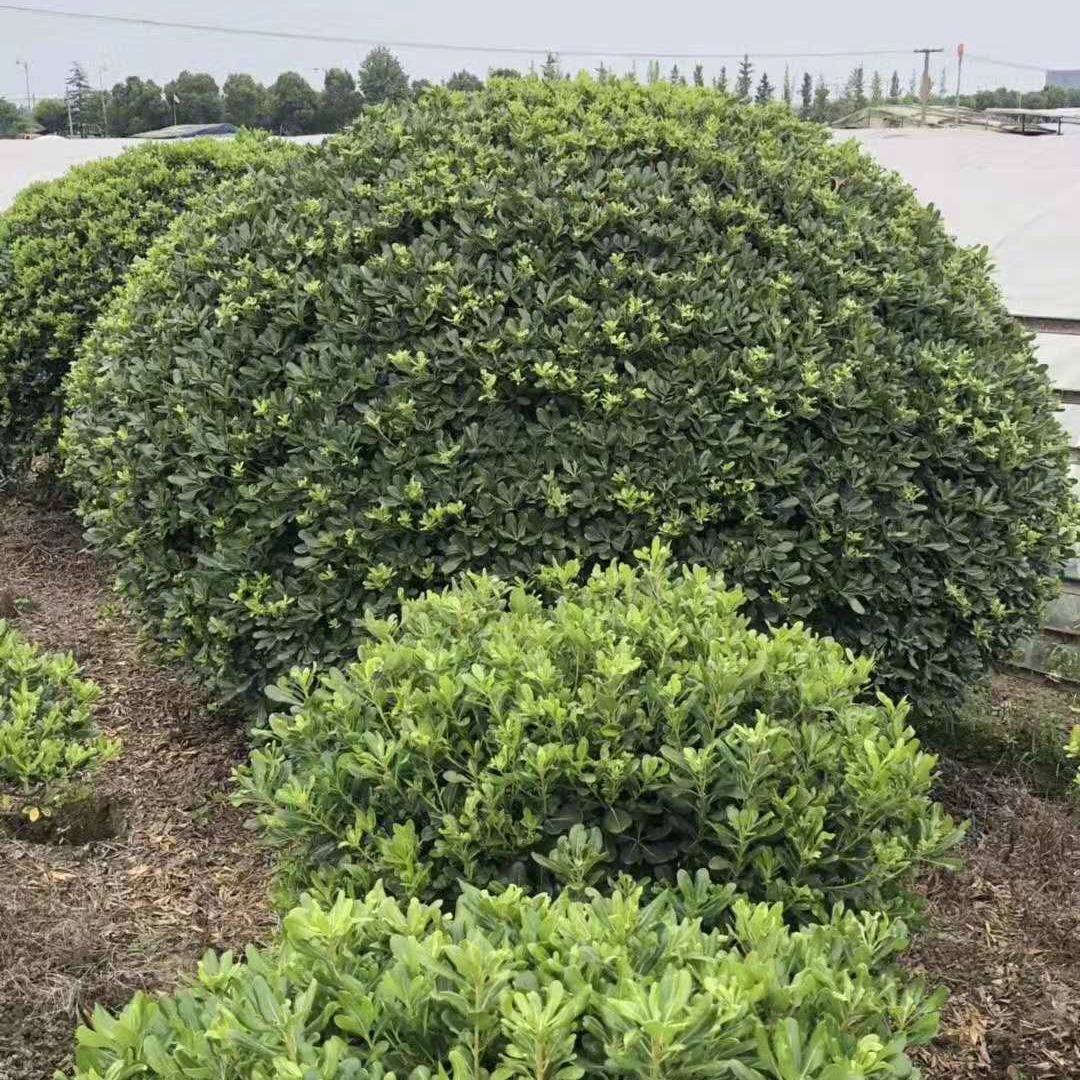 2024-03-26 20:42:31.jpg