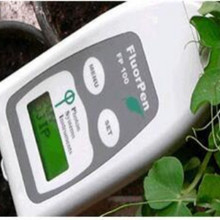 手持式叶绿素荧光仪JQ977-FP100库号：D20116