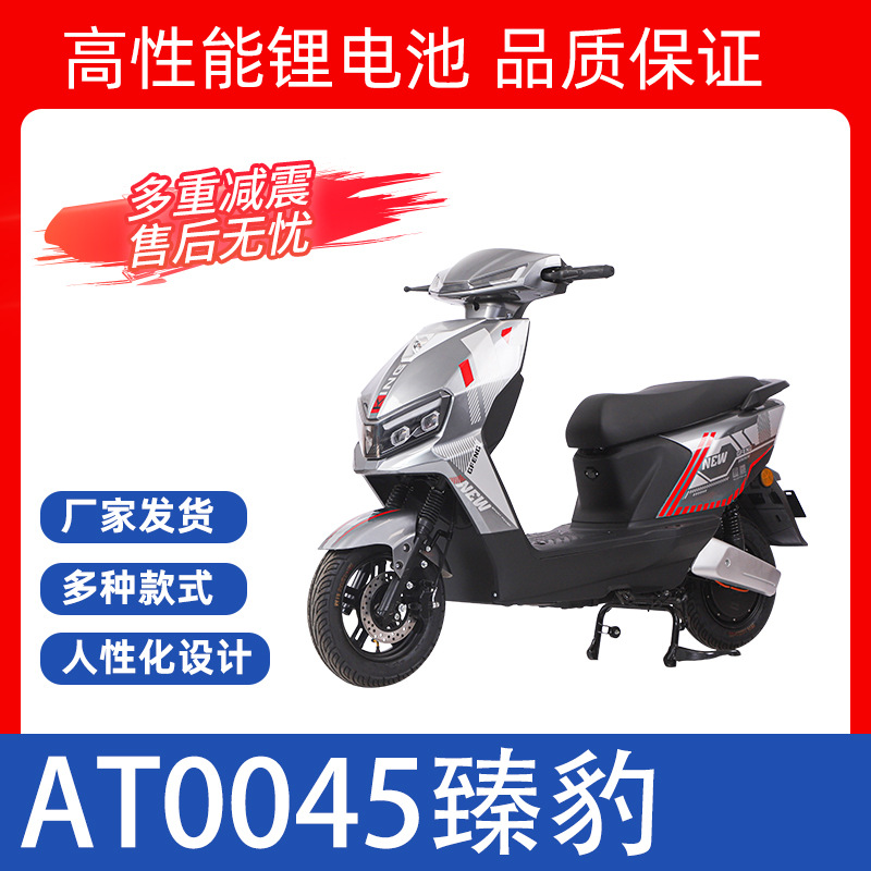 Bicicleta eléctrica de pedal grande, bicicletas eléctricas de larga duración, bicicletas eléctricas adultas, bicicletas eléctricas de dos ruedas, motocicleta eléctrica para dos personas