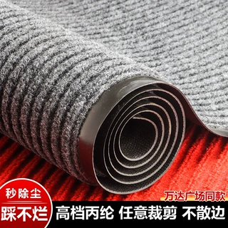 地毯整卷双条纹地垫进门入户垫吸水垫PVC条纹走廊楼梯地毯裁剪