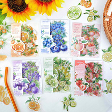 ʰ��petˮ���N���� �͹ŠC�����~diy�b��ز��N�N���N���羳20��