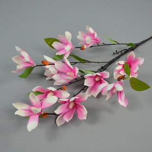 ���滨���m�������^����11�^���m��֦������c�û���Y�È�������