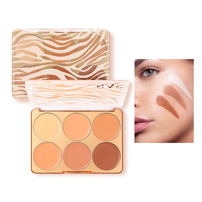 USHAS Europa y los Estados Unidos transfronterizos spot de seis colores placa impermeable de reparación de color de piel hidratante protector SAF024A + B