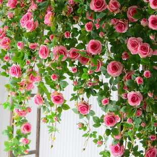�����ٗl�ٻ��b������ړ��p�@���ٹܵ��쾰���l���ٻ��T�^���û�