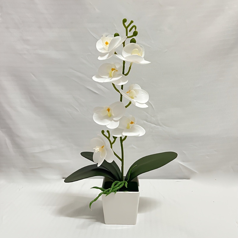 화이트39*23cm