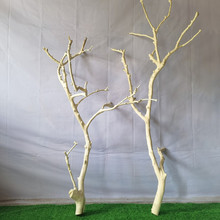 干树枝杈艺术干枝枯枝枯木树干鸟架造型壁挂衣架吊顶树枝装饰