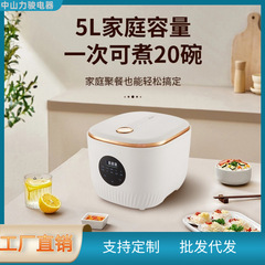 炊飯器家庭用5リットル大容量多機能無粘着鍋スマート予約定時炊飯ケーキプレゼント卸売り