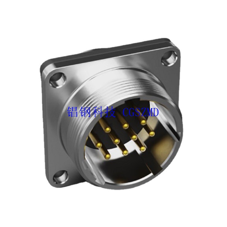 WS WY WF24-10TQ/Z  P20PG female plug IP67 10о���������