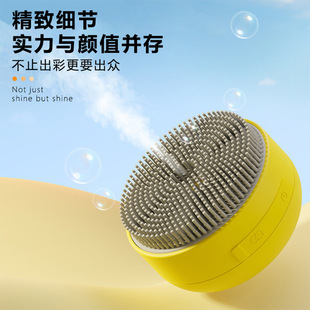 Cat and Dog Cleaning Pet Spray Comb Hot Selling Cat Hair Removal Pet Comb Cat and Dog Massage Cleaning Steam Brush