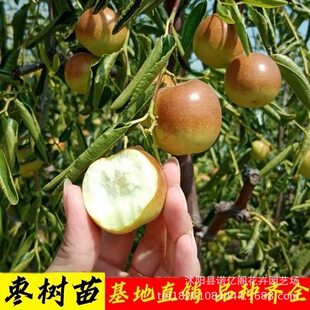 ��Ʒ�N���������ڴ���o�˱��Ǵ����ͺ��ͺ��������Ե��Ԯ���Y��