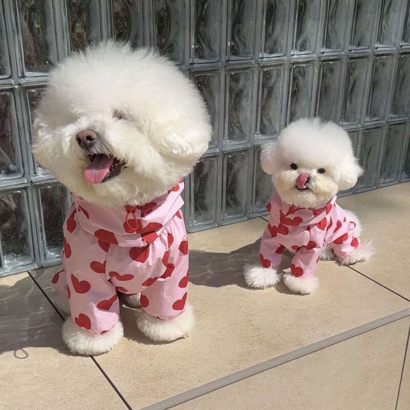 ins style new South Korea all-in-one waterproof heart-shaped cloud Printed Raincoat dog model cute hooded clothes ins style new South Korea all-in-one waterproof heart-shaped cloud Printed Raincoat dog model cute hooded clothes