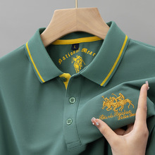 ��ʿ�L��t��2024�¿�_polo�����b�����������e���Qԭ�δ����