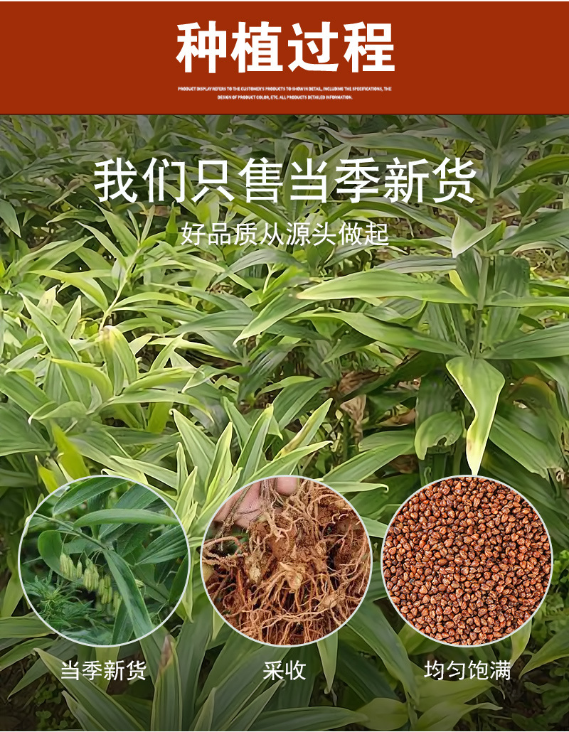 Nine-Steamed Huang Jing (Polygonatum sibiricum) — Jiuhuashan Processed Rhizome, 500g preparation